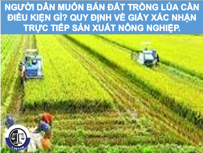 Người dân muốn bán đất trồng lúa cần điều kiện gì? Quy định về Giấy xác nhận trực tiếp sản xuất nông nghiệp.