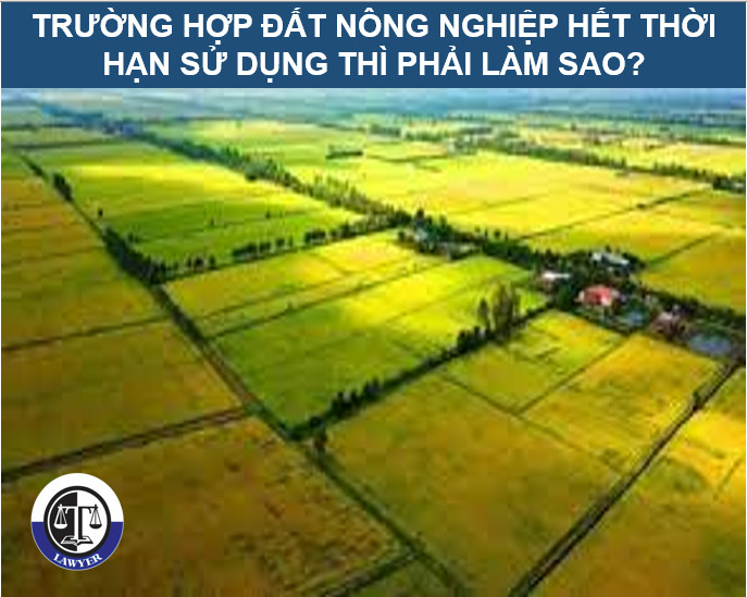 Trường hợp đất nông nghiệp hết thời hạn sử dụng thì phải làm sao?