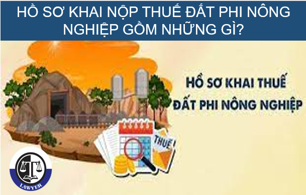 Hồ sơ khai thuế đất phi nông nghiệp gồm những gì?