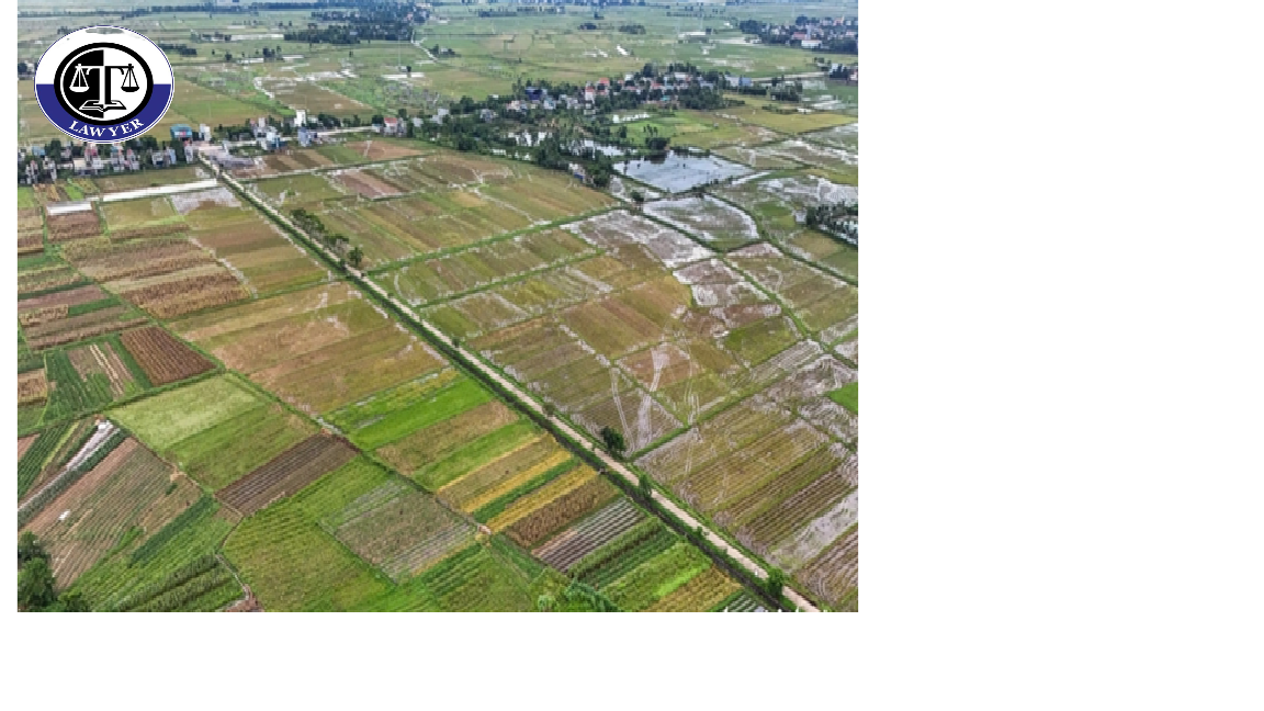 Tin tức mới nhất