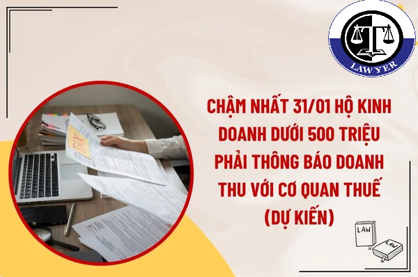 Chậm nhất 31/01 hộ kinh doanh dưới 500 triệu phải thông báo doanh thu với cơ quan thuế (dự kiến) cụ thể ra sao?