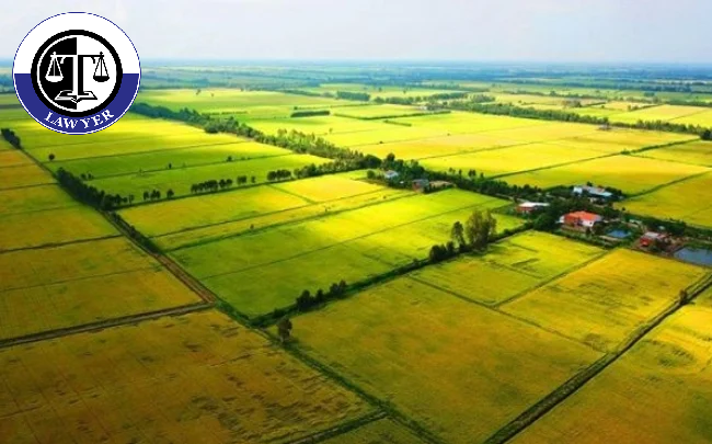 Đất dính quy hoạch thì có tách thửa được không?