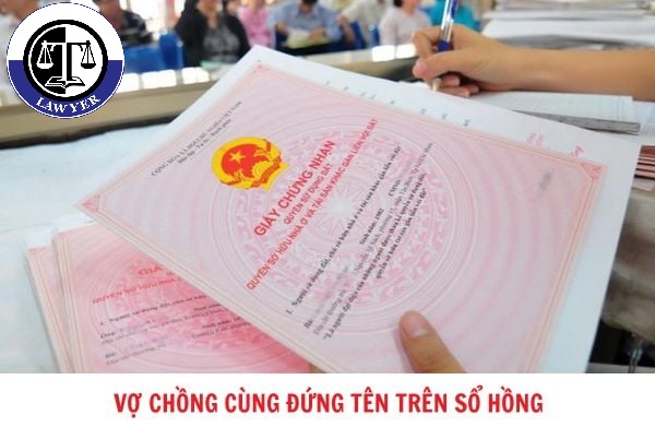 Tin tức mới nhất