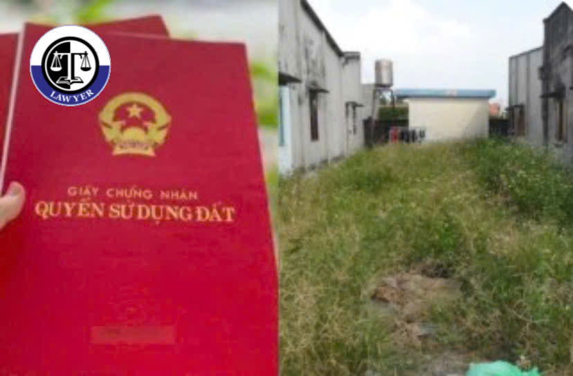 Tin tức mới nhất