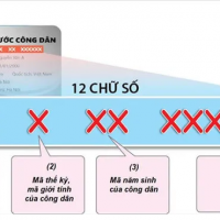 Hiểu rõ hơn về mã định danh